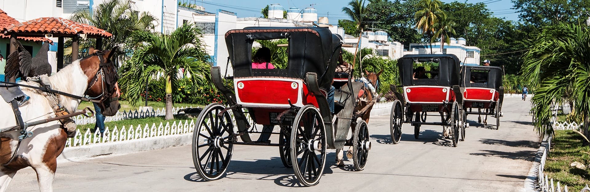 Calèches traditionnelles à Bayamo, GranmaTravel
